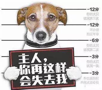 ⭐哪里有
京东纯手工号
批发出售